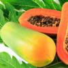 Papaya: wohltuende Eigenschaften, Schaden, Zusammensetzung, Kauf und Lagerung So wählen Sie die richtige reife Papaya aus