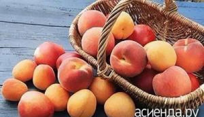 Как правильно хранить персики в домашних условиях в холодильнике, морозилке и погребе